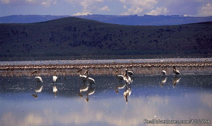 Lake Nakuru | 9 Days Kenya Flying Safari | Image #2/15 | 