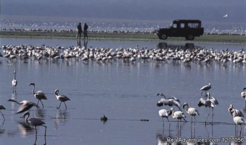 Lake Nakuru