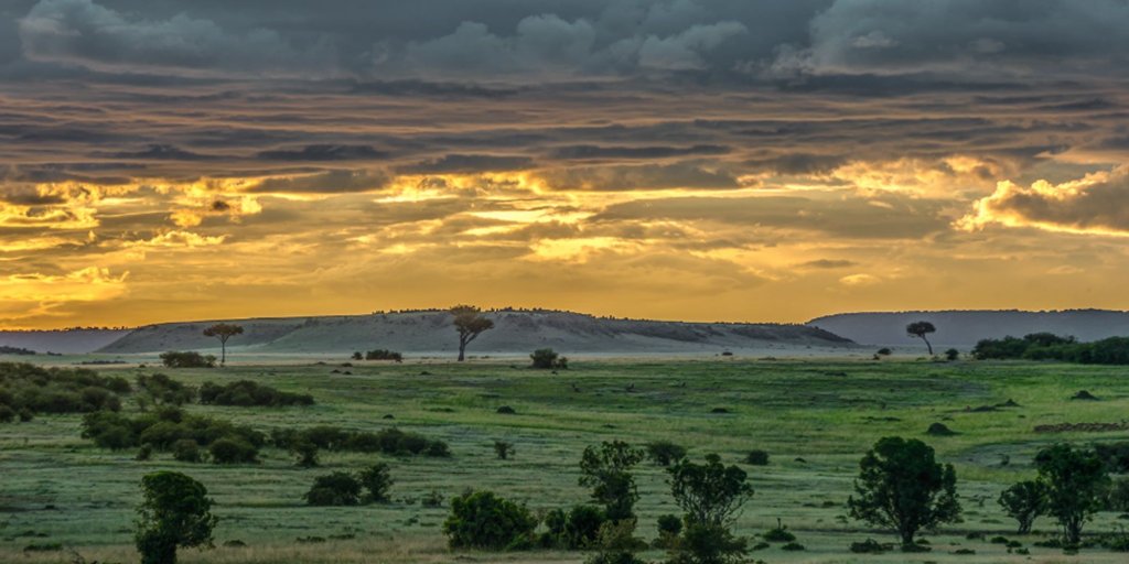 3 Days 2 Nights Masaimara Joining Safari | Image #7/11 | 