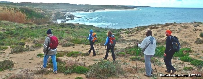 Hiking | 'Rota Vicentina' Historical Way 15D | Santiago do Cacém, Portugal | Hiking & Trekking | Image #1/3 | 