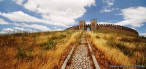 Alentejo Vineywards Cycling 7D