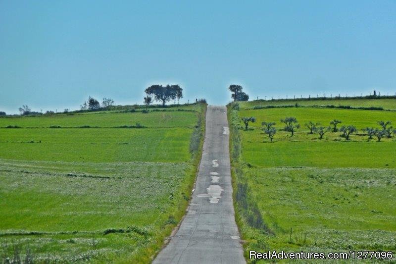 Alentejo Vineywards Cycling 7D | Image #2/6 | 