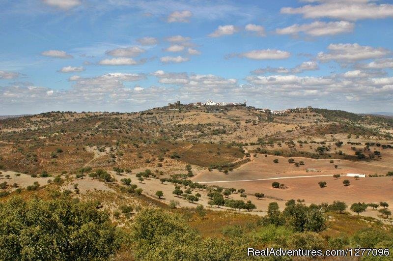 Alentejo Vineywards Cycling 7D | Image #5/6 | 