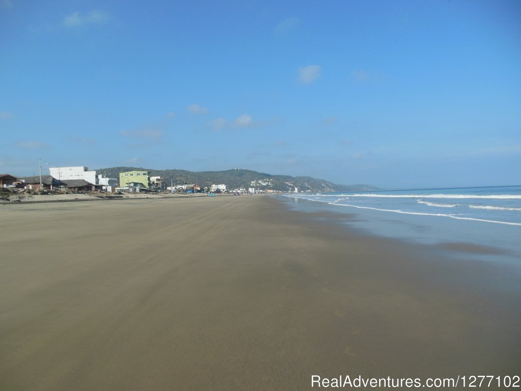 Beach Walk | Bungalow by the Sea 'No Longer for Rent.' | Image #6/26 | 