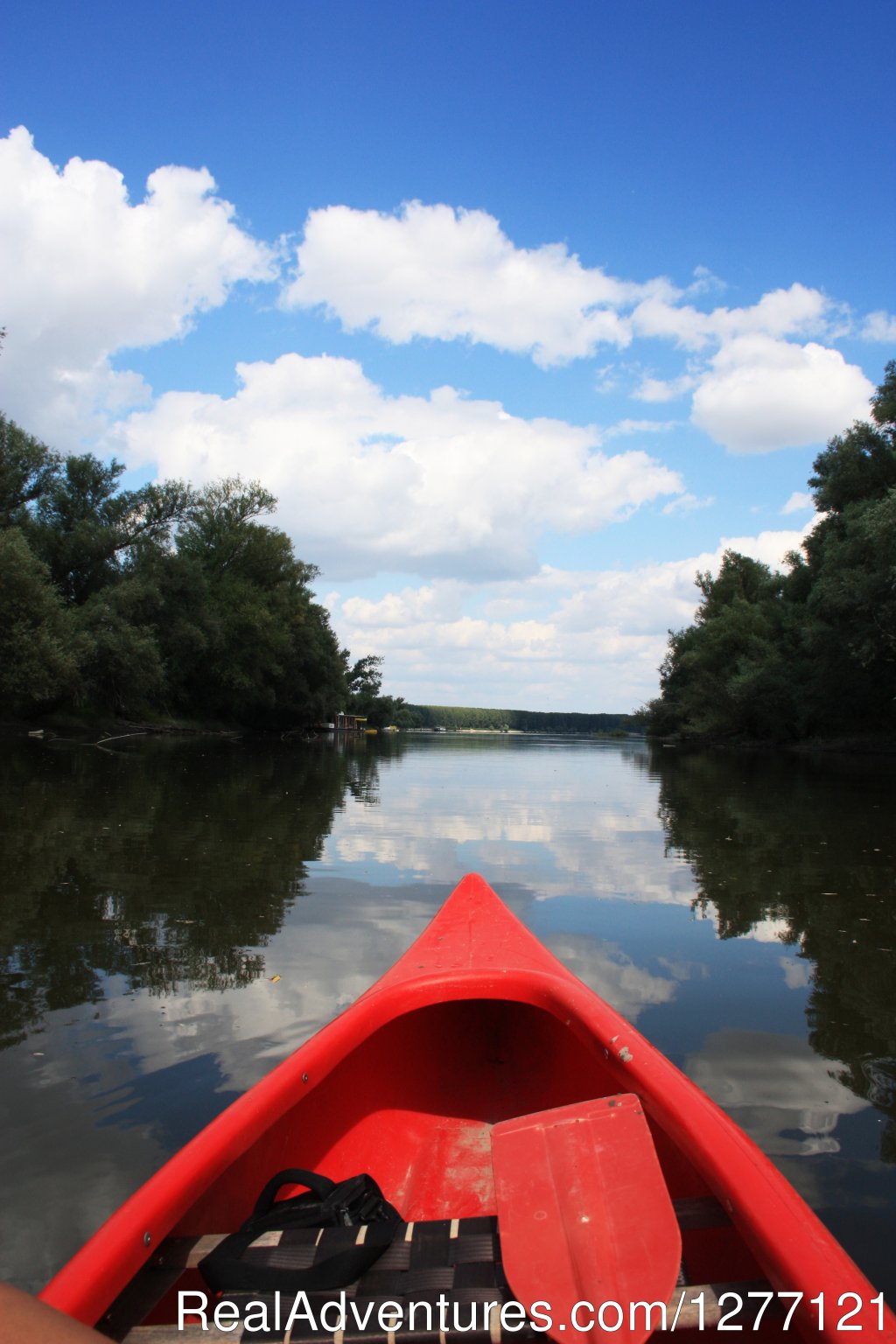 Paddling | Paddling in Novi Sad, Serbia | Image #6/6 | 