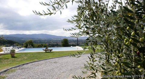 Mangiardivino Your Chef In Tuscany