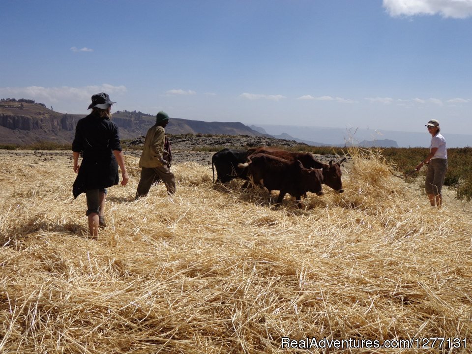 Activities | Highland Eco Trekking Tours Ethiopia | Image #3/5 | 