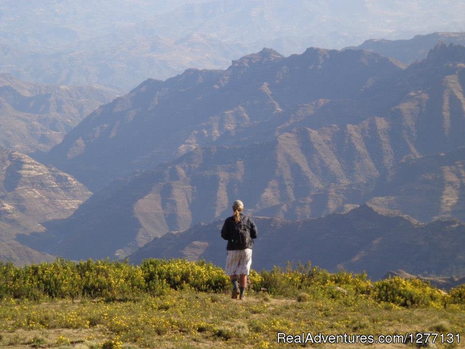 Abune Yosef Massif | Highland Eco Trekking Tours Ethiopia | Image #4/5 | 