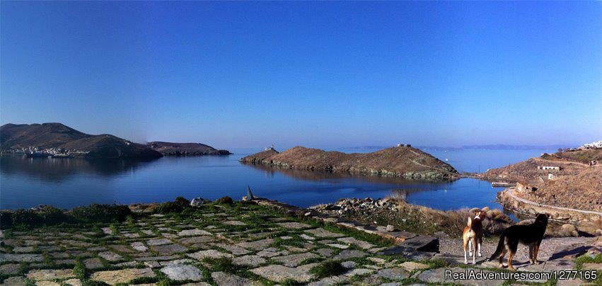 Vourkari bay | Dive in Kea island  Discover underwater Greece | Image #7/9 | 