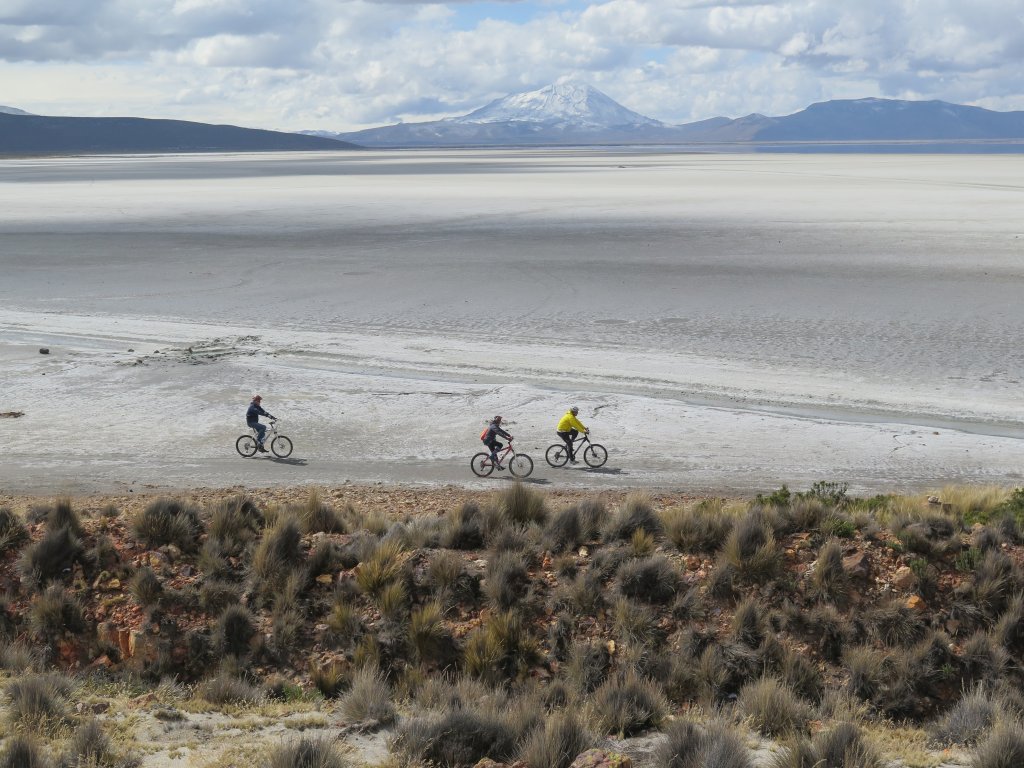 Biking Trip At Laguna De Salinas | Day Biking Trip To Laguna De Salinas - Arequipa | Image #2/8 | 