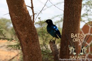 10 Days In The Wilderness | Nairobi, Kenya | Wildlife & Safari Tours