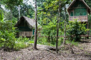 Conservation in Action at Tapiche Jungle Reserve