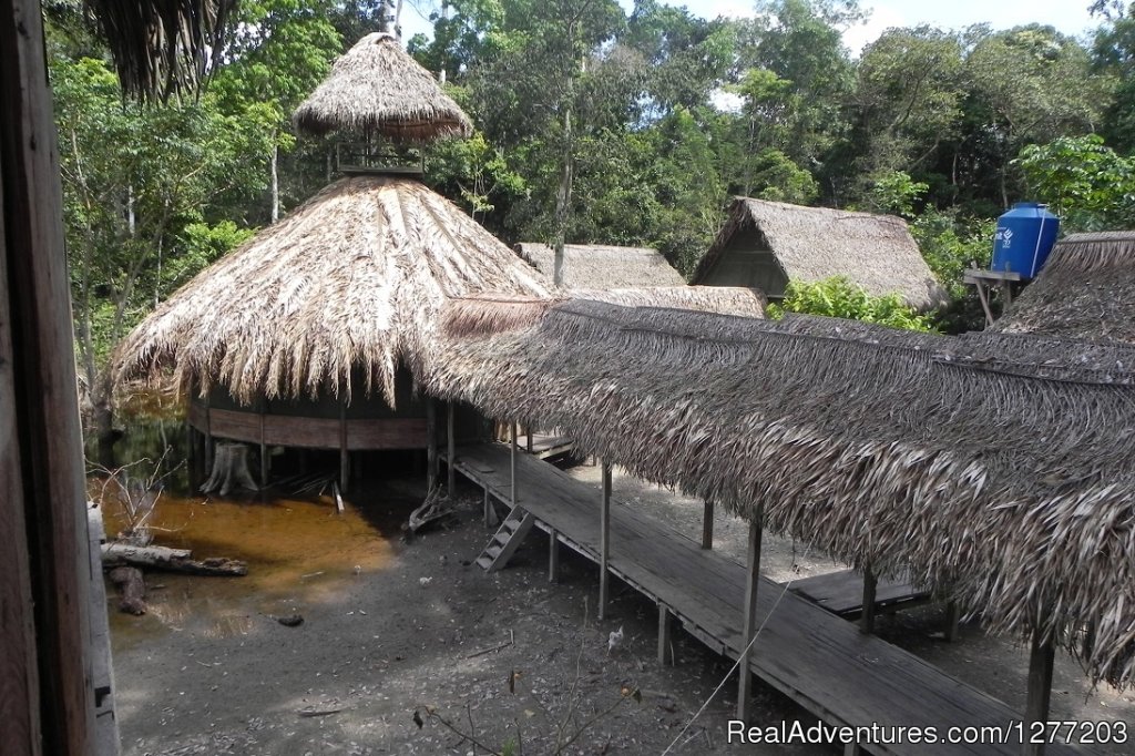 Conservation in Action at Tapiche Jungle Reserve | Image #2/7 | 