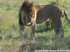 6 Days Big Five Adventure | Nairobi, Kenya