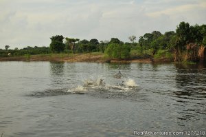 Adventure and explore in a cruise in the Amazon | Manaus, Brazil | Cruises