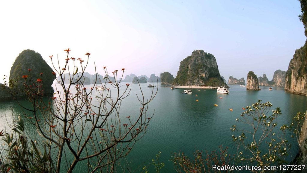 Halong Bay Cruises | Image #8/17 | 