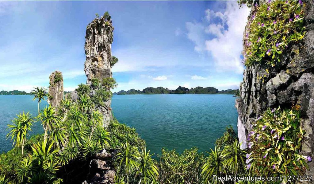 Halong Bay Cruises | Image #14/17 | 