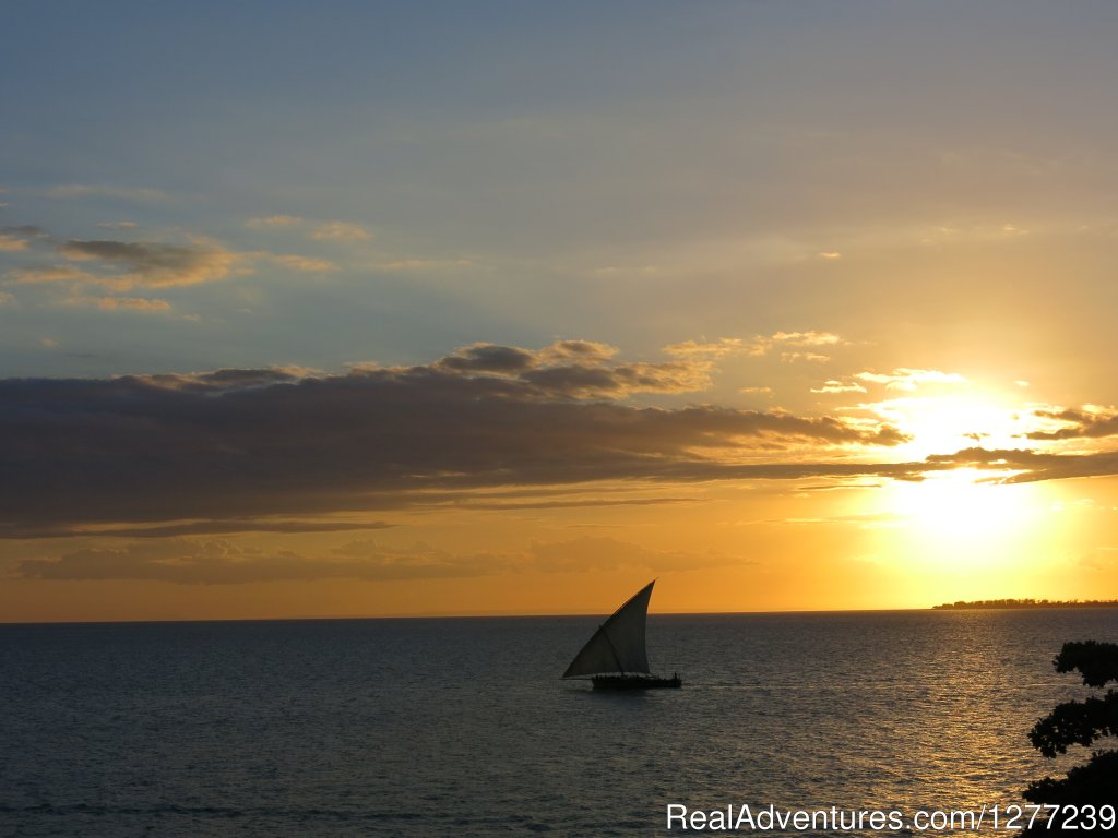 Zanzibar | A trip of a life time to Africa | Arusha, Tanzania | Hiking & Trekking | Image #1/3 | 