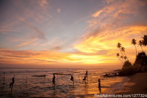 Discover Sri Lanka