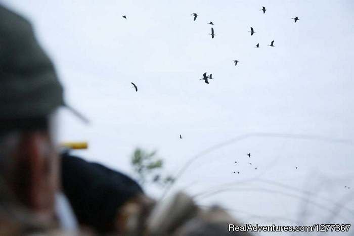 Duck Hunt, Santa Fe, Argentina | Dove Hunt in Cordoba, Argentina | Image #5/23 | 