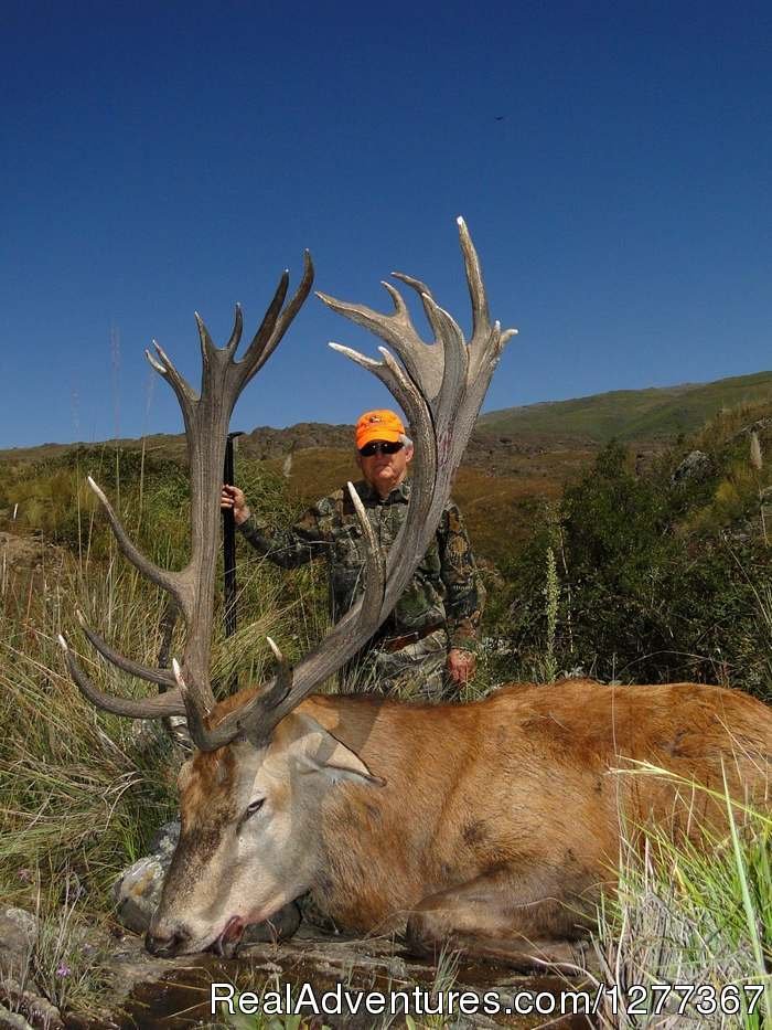 Big Game, Cordoba, Argentina | Dove Hunt in Cordoba, Argentina | Image #7/23 | 