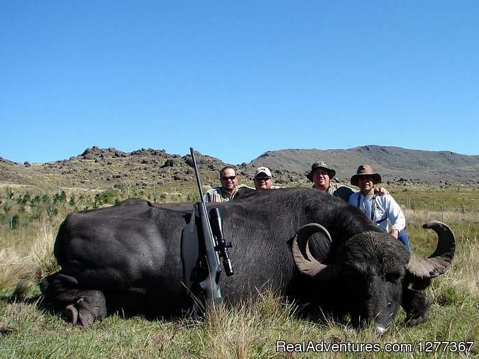 Big Game, Cordoba, Argentina | Dove Hunt in Cordoba, Argentina | Image #8/23 | 