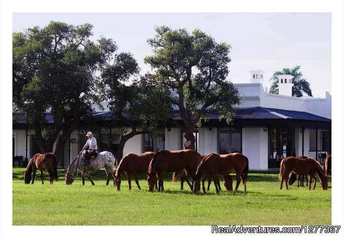 San Javier Lodge, Santa Fe, Argentina | Dove Hunt in Cordoba, Argentina | Image #19/23 | 