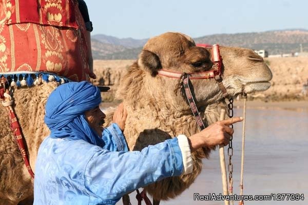 Moroccan Beaches | The ultimative Surf holiday in Morocco | Image #25/26 | 