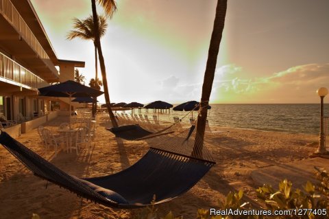 Relax on the Beach