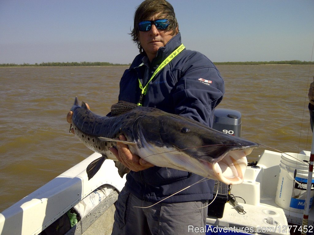 Entre Rios - September 2013 | Buenos Aires & Entre Rios Fishing Trips | Image #4/25 | 