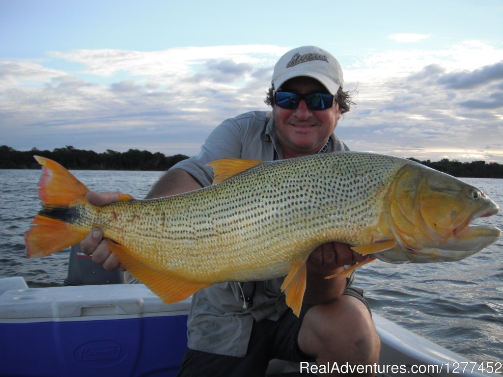 Entre Rios - November 2013 | Buenos Aires & Entre Rios Fishing Trips | Image #7/25 | 