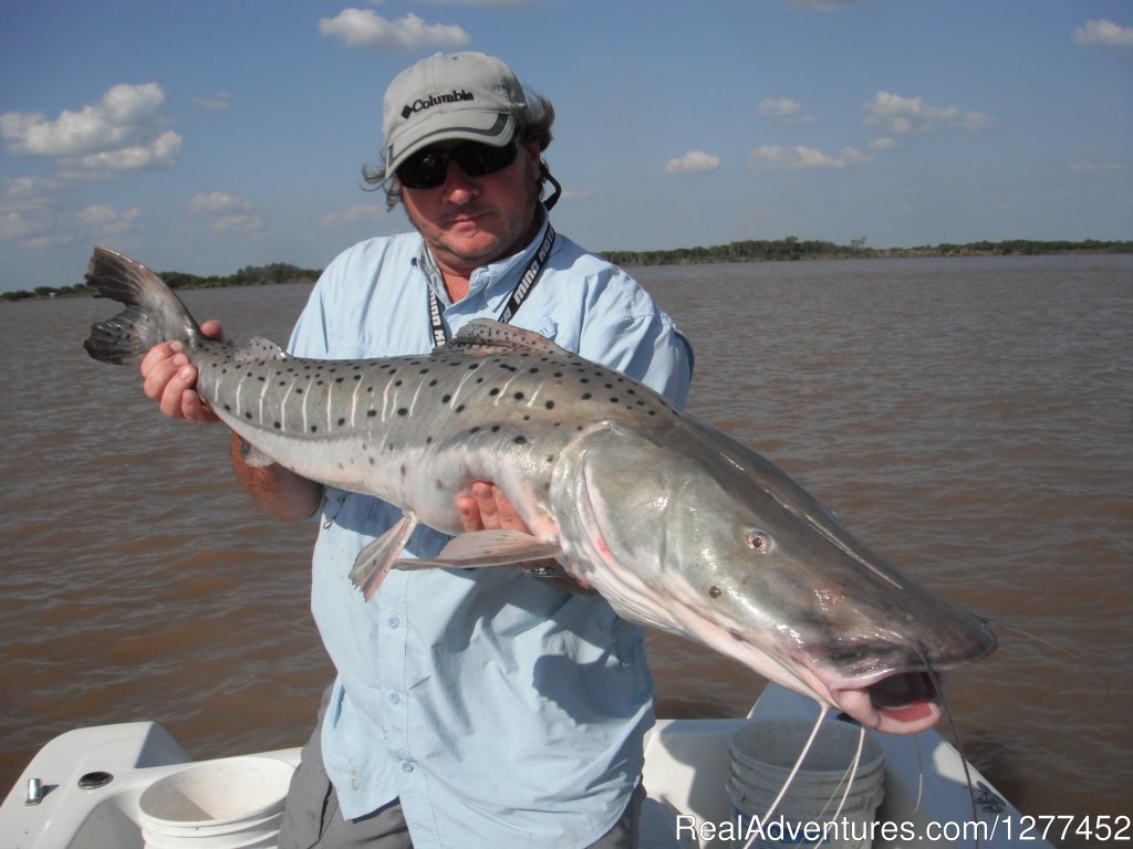 Entre Rios - January 2014 | Buenos Aires & Entre Rios Fishing Trips | Image #9/25 | 