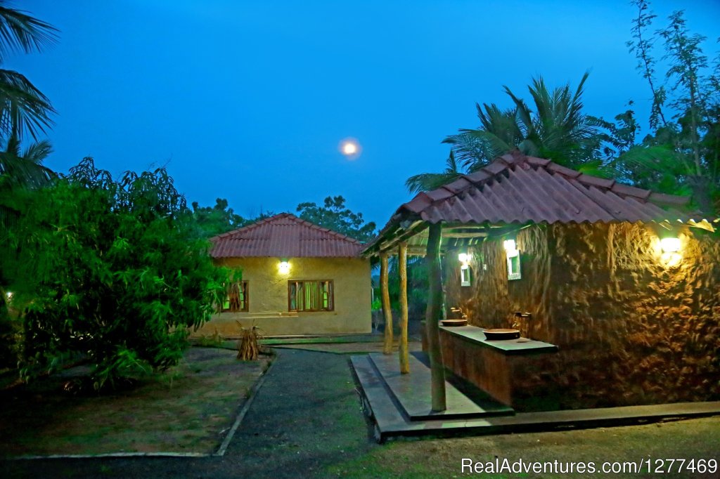 Heina Nature Resort and Yala Safari | Yala National Park, Sri Lanka | Hotels & Resorts | Image #1/14 | 