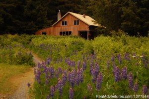 Your private fishing resort in Southeast, Alaska | Pelican, Alaska | Hotels & Resorts