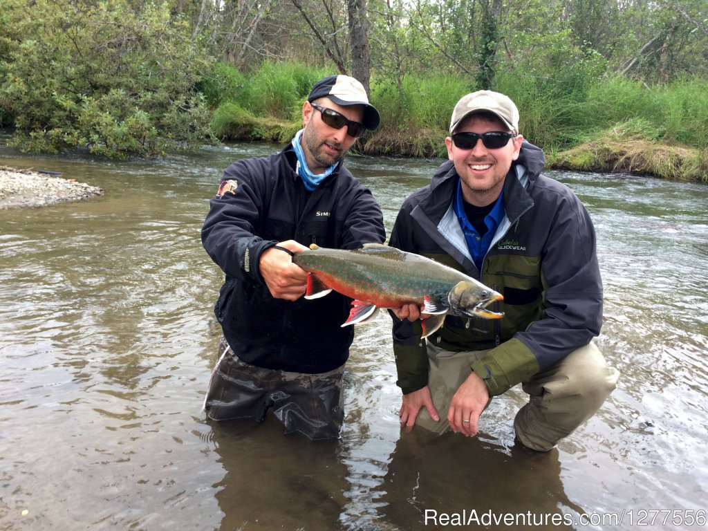 Colorful Char | Catch the Rainbow you've been Dreaming about | Image #5/22 | 