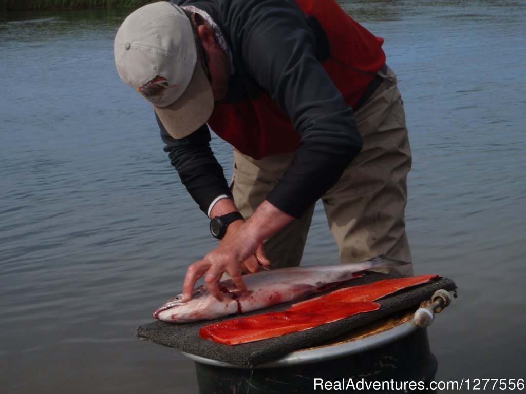 Freezer Fish | Catch the Rainbow you've been Dreaming about | Image #8/22 | 