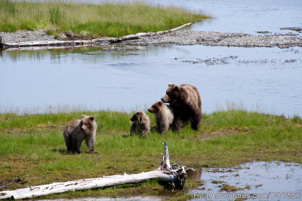 Frolicking family | Catch the Rainbow you've been Dreaming about | Image #20/22 | 