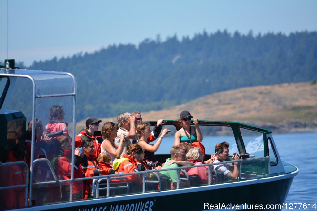 Orc Maru Watching Whales | Wild Whales Vancouver | Image #9/9 | 