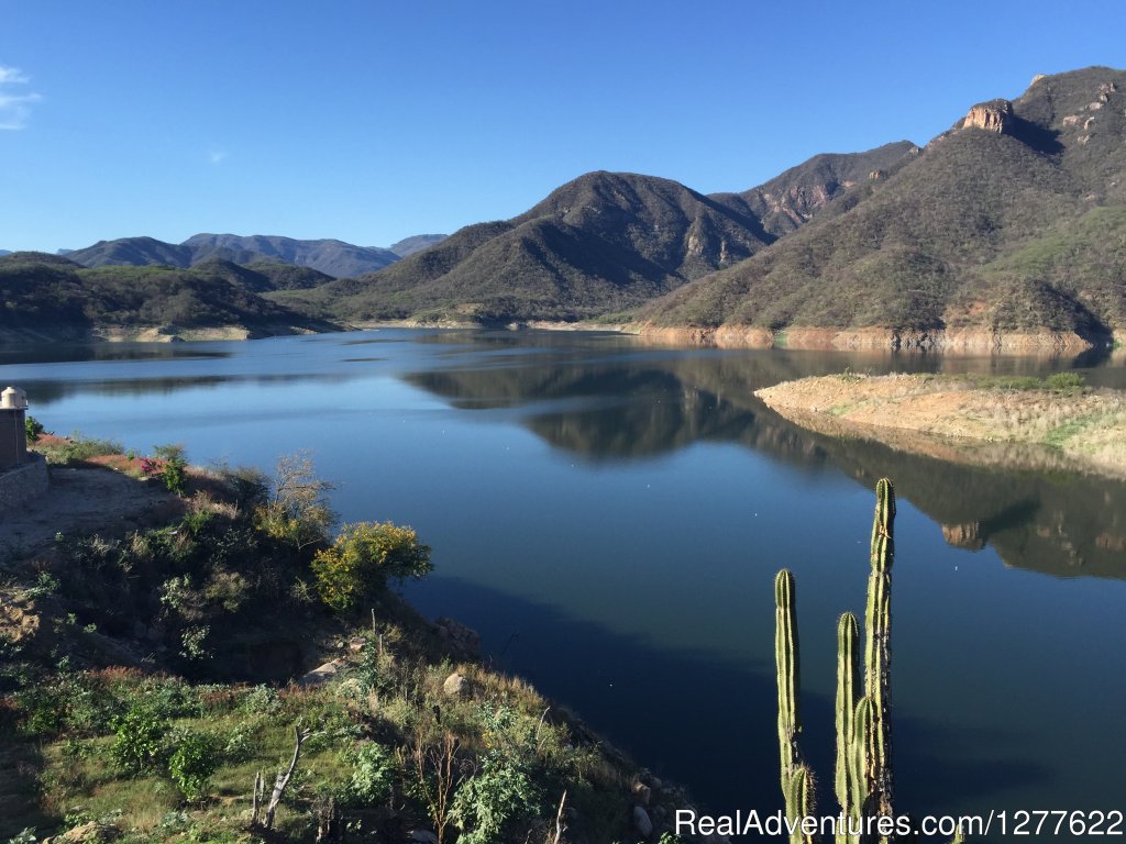 Lake | Bass fishing El Palmar lake huites | Image #7/12 | 