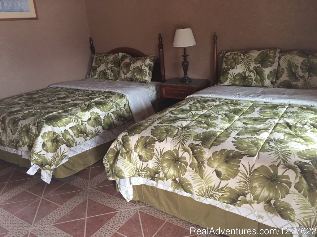 Room Two Beds | Bass fishing El Palmar lake huites | Image #5/12 | 