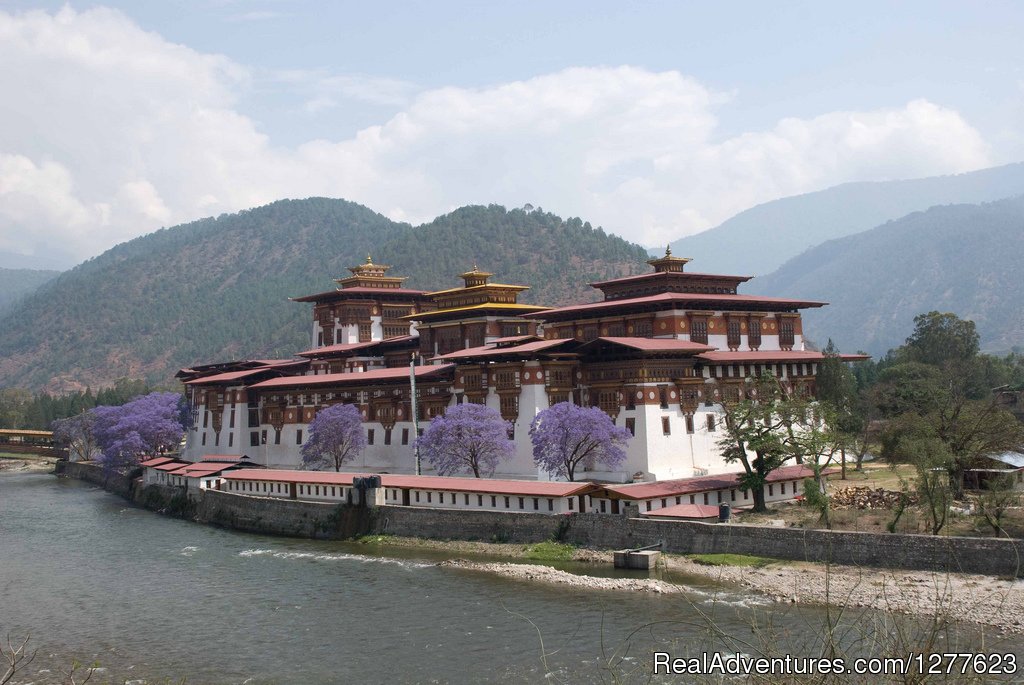 Punakha | Pedalers | Image #7/8 | 