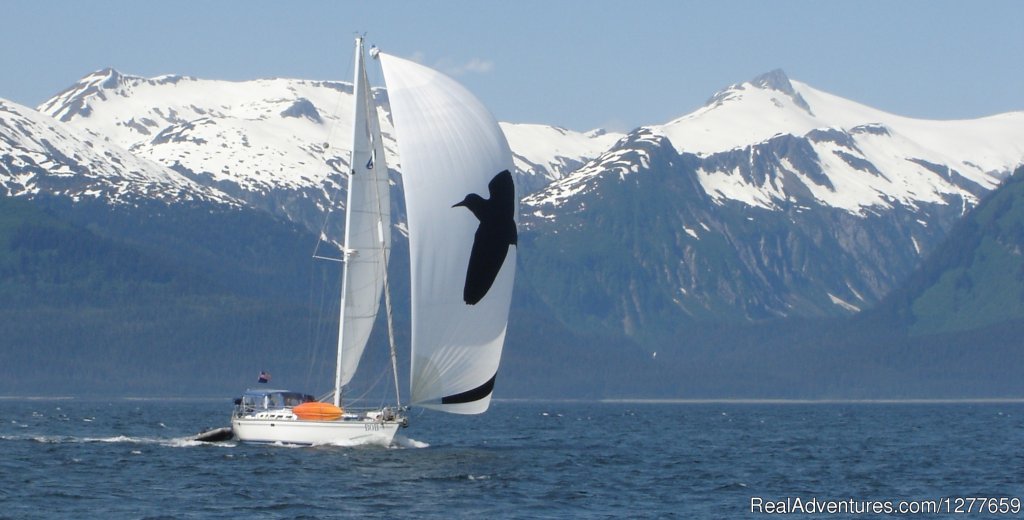 S/V BOB sailing across Chatham Strait | Sound Sailing- Crewed Sailboat Charters in Alaska | Image #3/21 | 