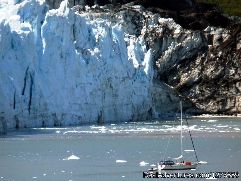 Sailboat BOB in Glacier Bay National Park | Sound Sailing- Crewed Sailboat Charters in Alaska | Image #2/21 | 