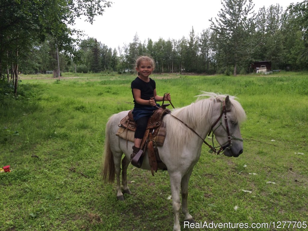 Alaska Horse Adventures | Image #8/9 | 