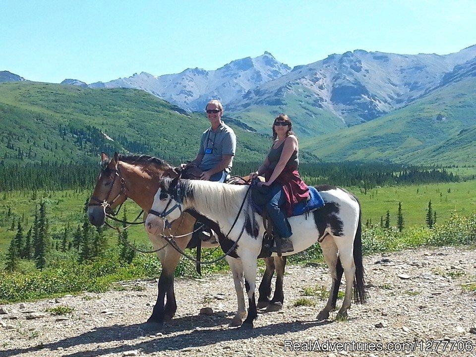 Day Tour | Denali Horseback Tours | Image #2/9 | 