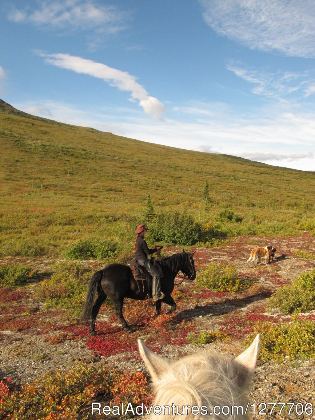 Fall horseback riding in Alaska | Denali Horseback Tours | Image #8/9 | 