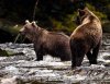 S.E. Alaska up and close on the 'Northern Dream' | Juneau, Alaska