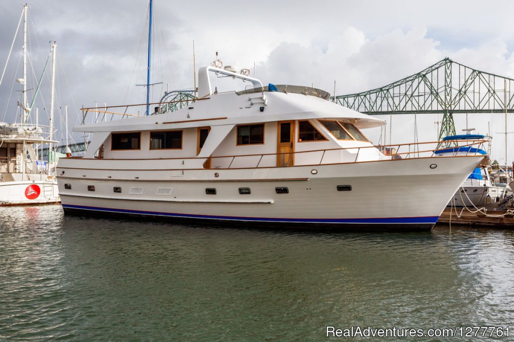 The M.V. Northern Dream | S.E. Alaska up and close on the 'Northern Dream' | Image #8/12 | 