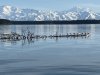 Sailing Alaska | Auke Bay, Alaska