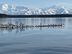 Sailing Alaska | Auke Bay, Alaska | Sailing